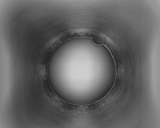 X0000111381062200907101121