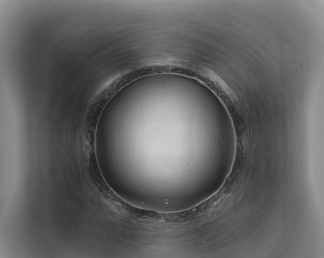 X0000111381064200907101121