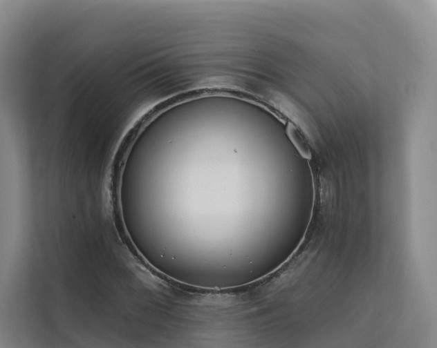 X0000111381068200907101121