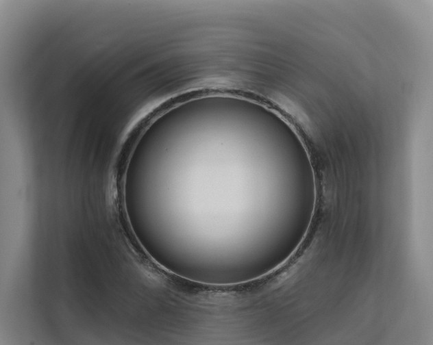X0000111381070200907101121
