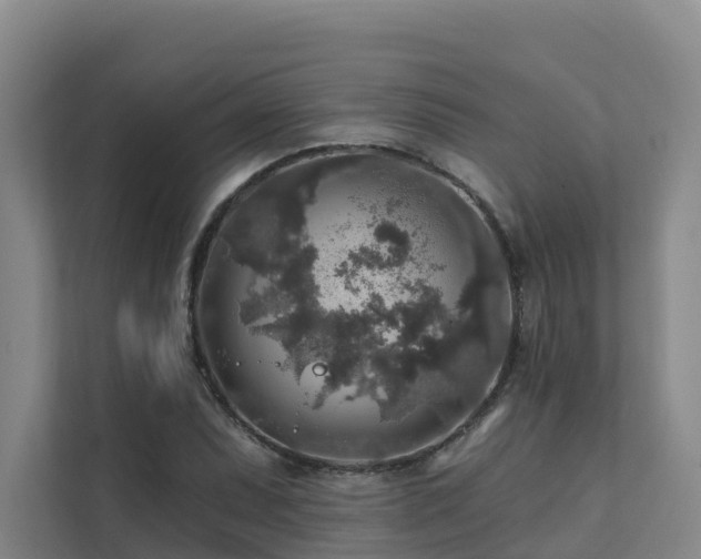 X0000111381071200907101121