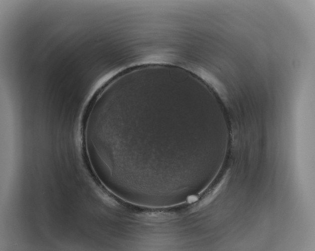 X0000111381077200907101121