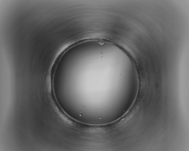 X0000111381079200907101121