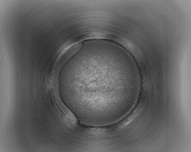 X0000111381081200907101121