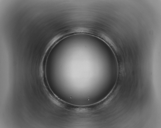 X0000111381082200907101121