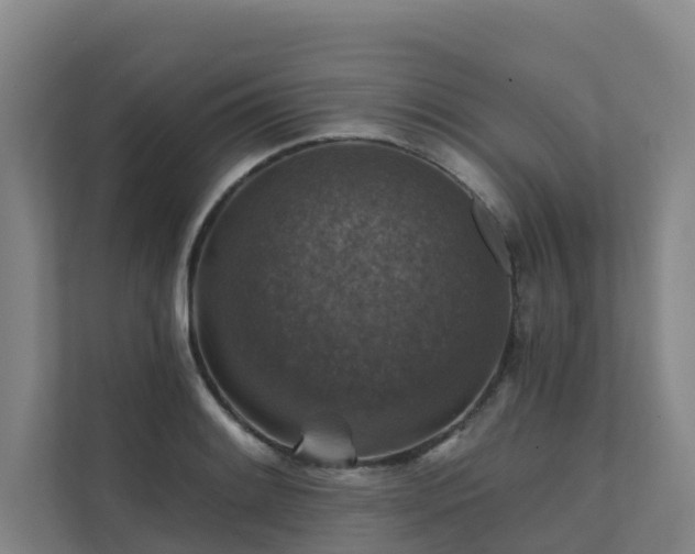 X0000111381084200907101121