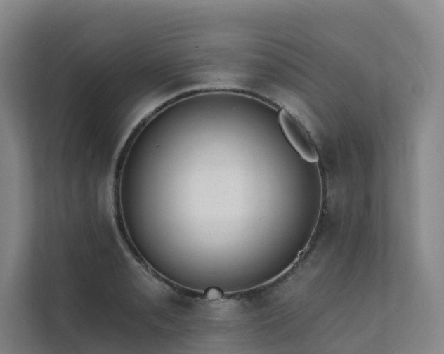 X0000111381085200907101121