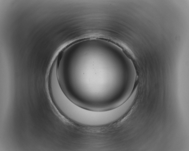 X0000111381086200907101121