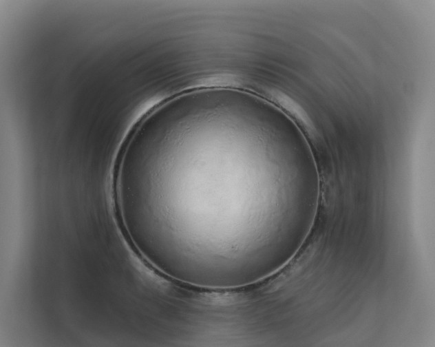 X0000111381087200907101121