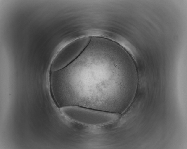 X0000111381088200907101121