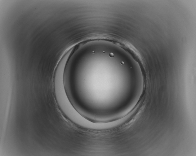 X0000111381089200907101121