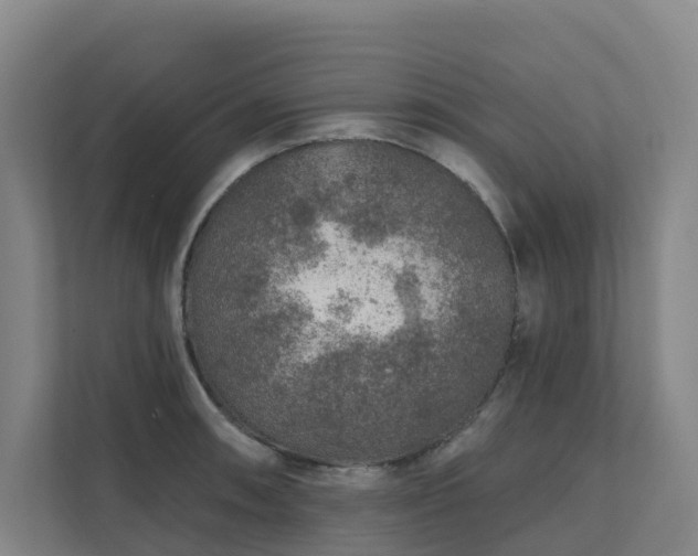 X0000111381090200907101121