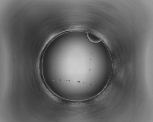 X0000111381091200907101121