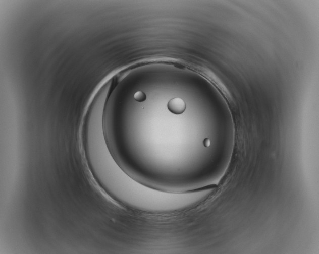 X0000111381092200907101121