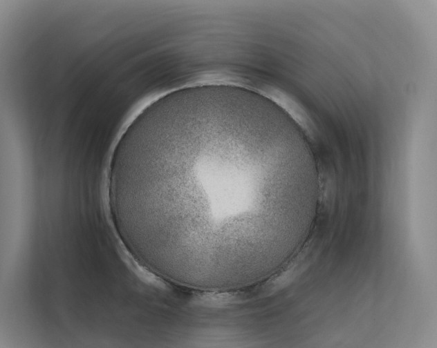 X0000111381094200907101121
