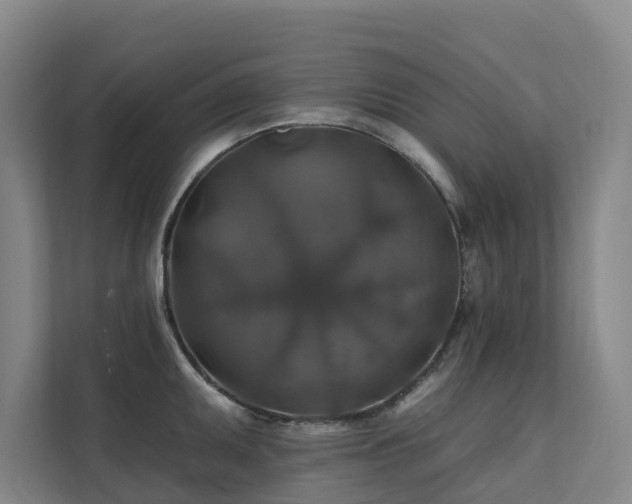 X0000111381095200907101121
