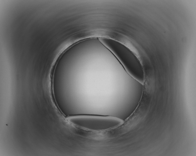 X0000111381096200907101121