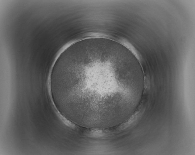 X0000111381098200907101121
