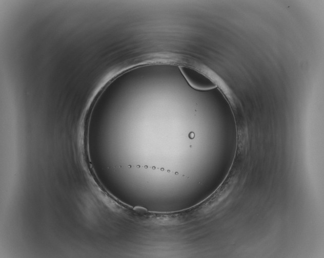 X0000111381099200907101121
