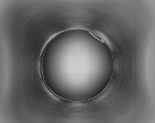 X0000111381100200907101121