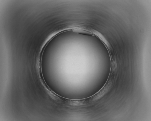 X0000111381101200907101121