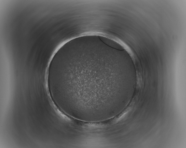 X0000111381102200907101121
