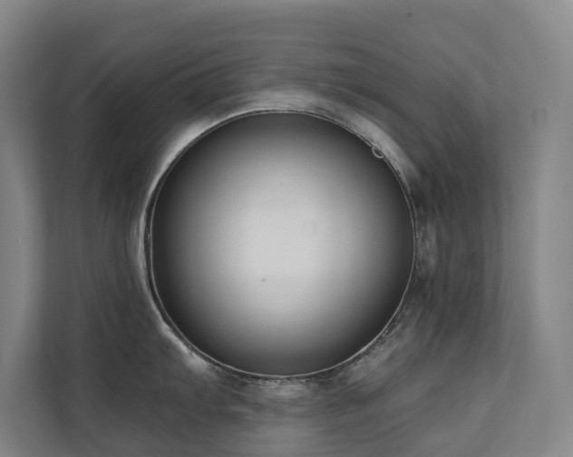 X0000111381103200907101121