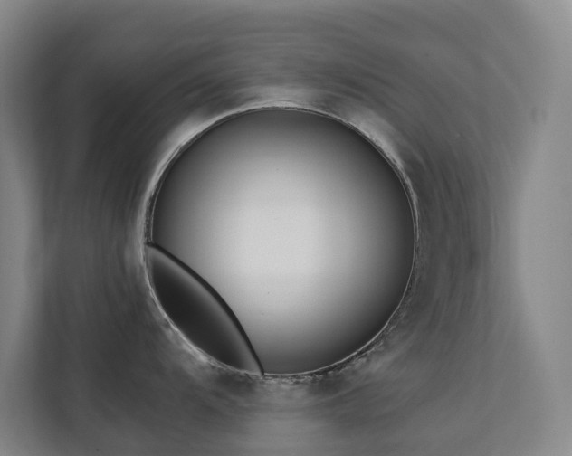 X0000111381104200907101121