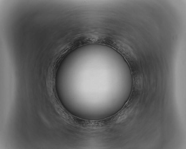 X0000111381105200907101120
