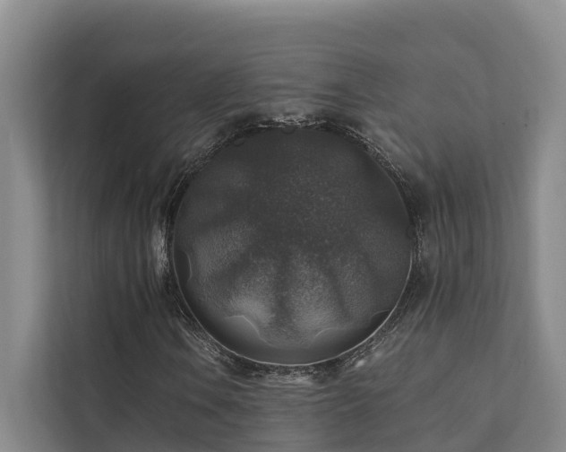 X0000111381106200907101120