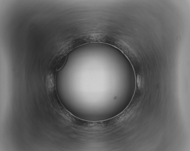 X0000111381107200907101120