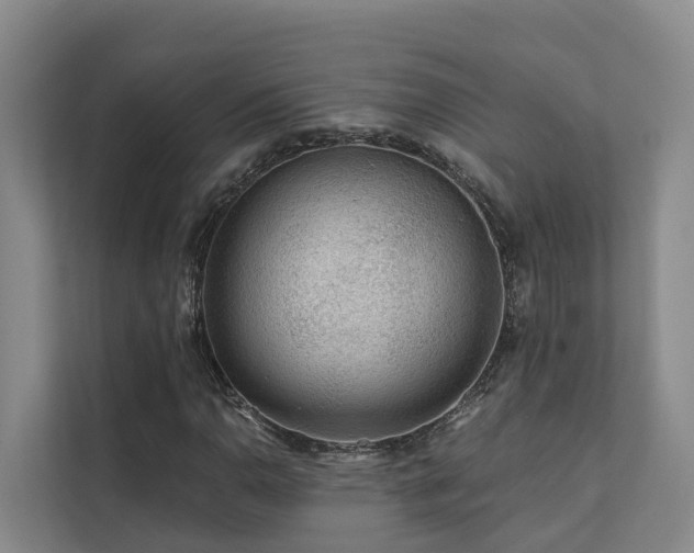 X0000111381110200907101120