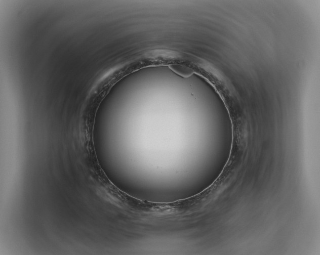 X0000111381112200907101120