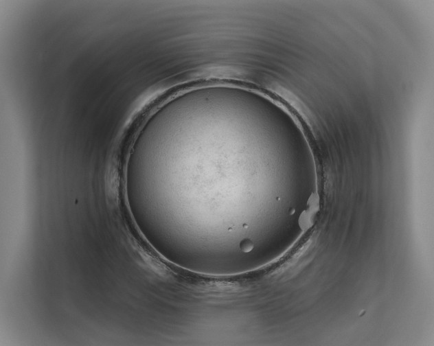 X0000111381115200907101120