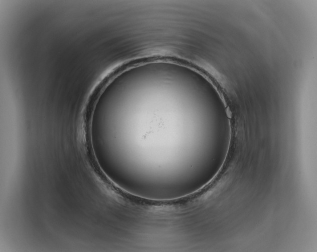 X0000111381118200907101120