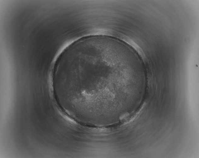 X0000111381120200907101120