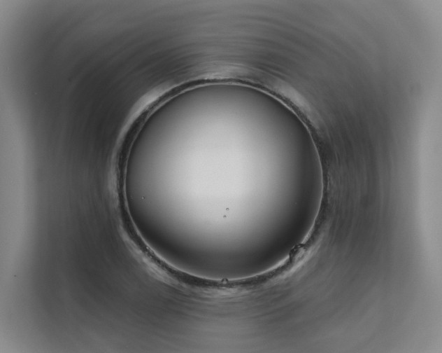 X0000111381122200907101121