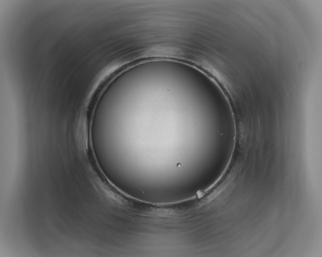 X0000111381123200907101121
