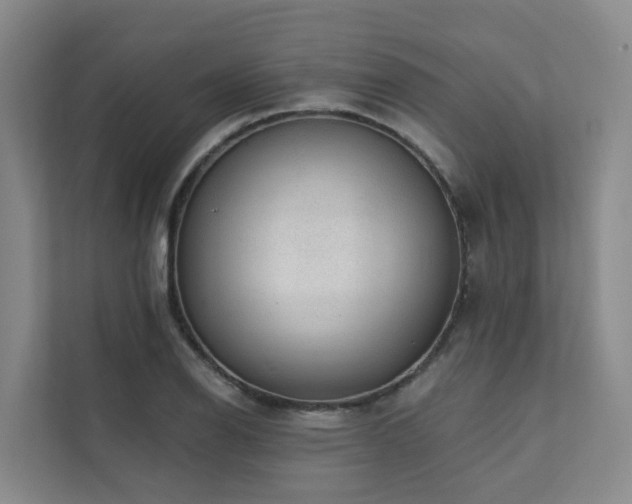 X0000111381126200907101121
