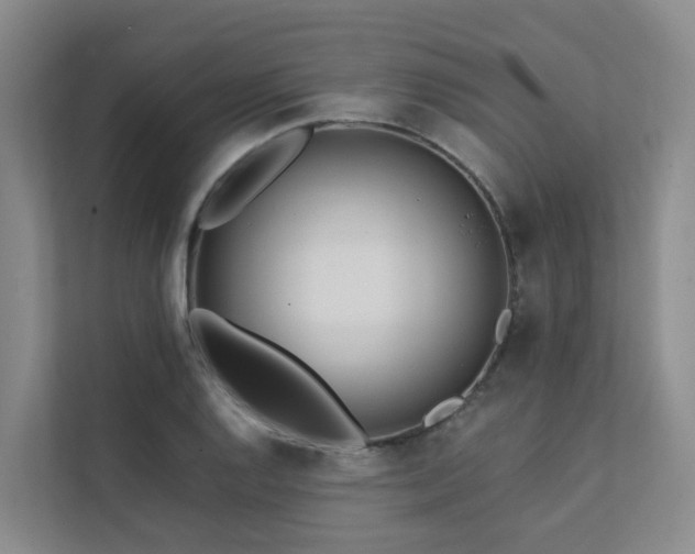 X0000111381128200907101121