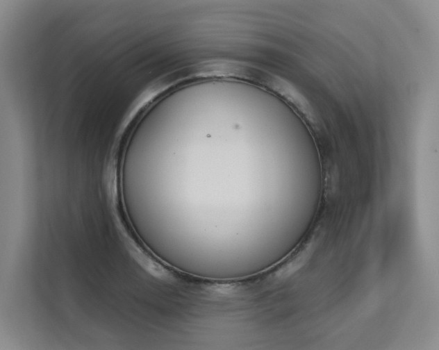 X0000111381130200907101121