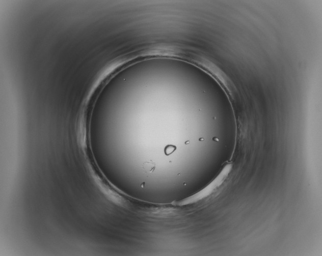 X0000111381131200907101121