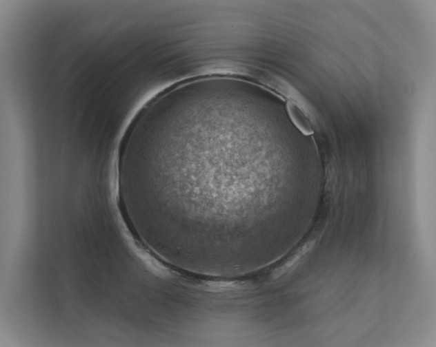 X0000111381132200907101121