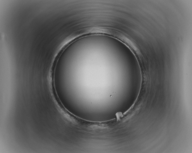 X0000111381133200907101121