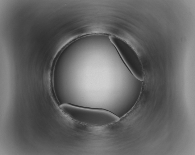 X0000111381134200907101121