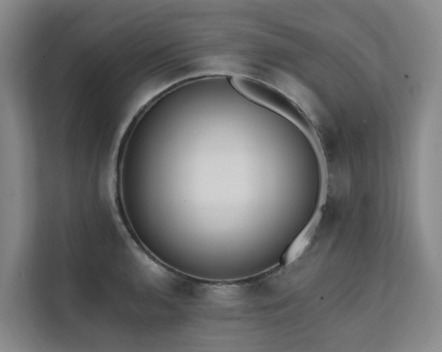 X0000111381136200907101121