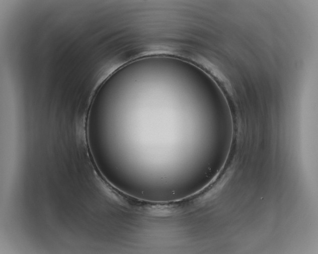 X0000111381137200907101121