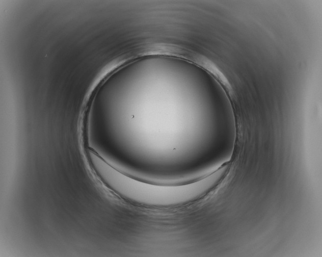 X0000111381138200907101121