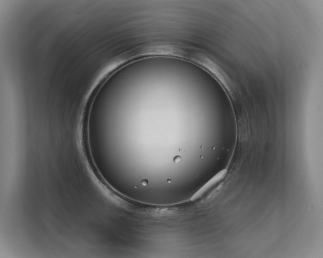 X0000111381139200907101121