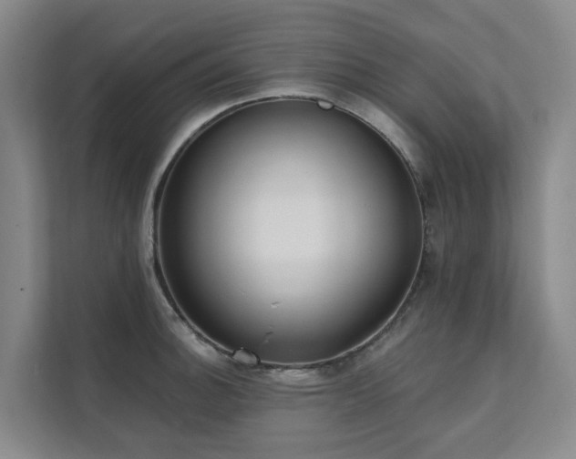 X0000111381140200907101121